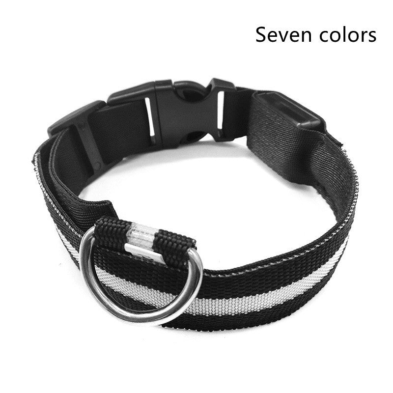 Nylon LED Leuchthalsband für Hunde und Katzen