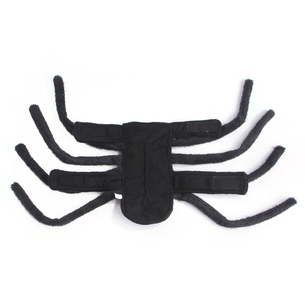 Haustier Halloween Kostüm