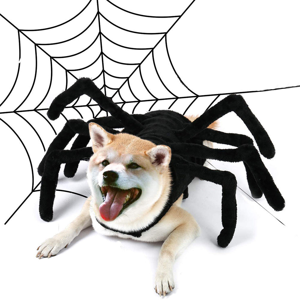 Haustier Halloween Kostüm