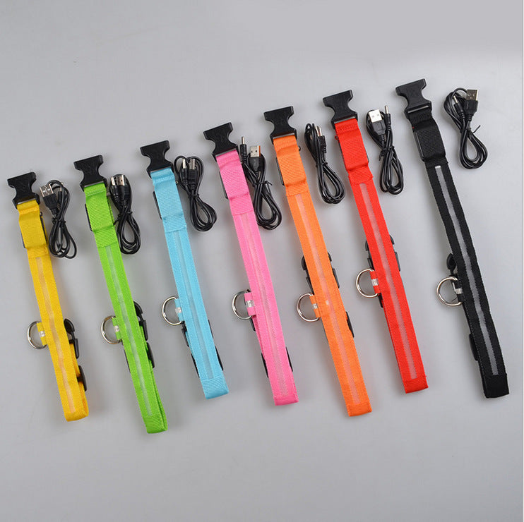 Nylon LED Leuchthalsband für Hunde und Katzen