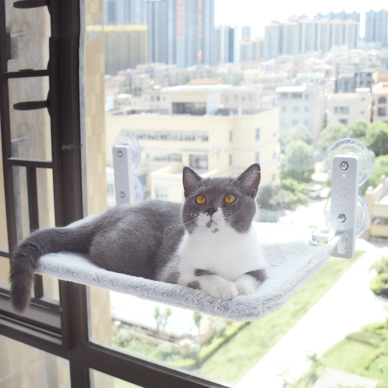 Katze Saugnapf Fenster Glas Hängematte