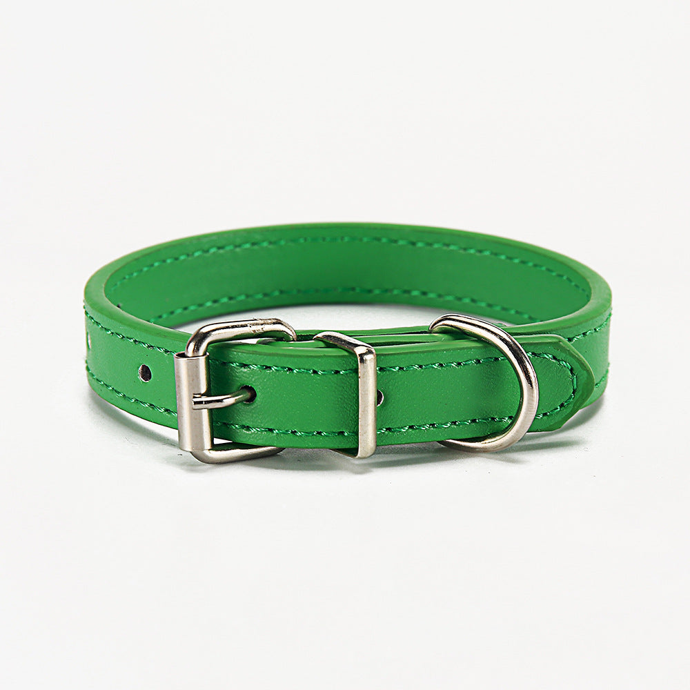 Halsband für Haustiere