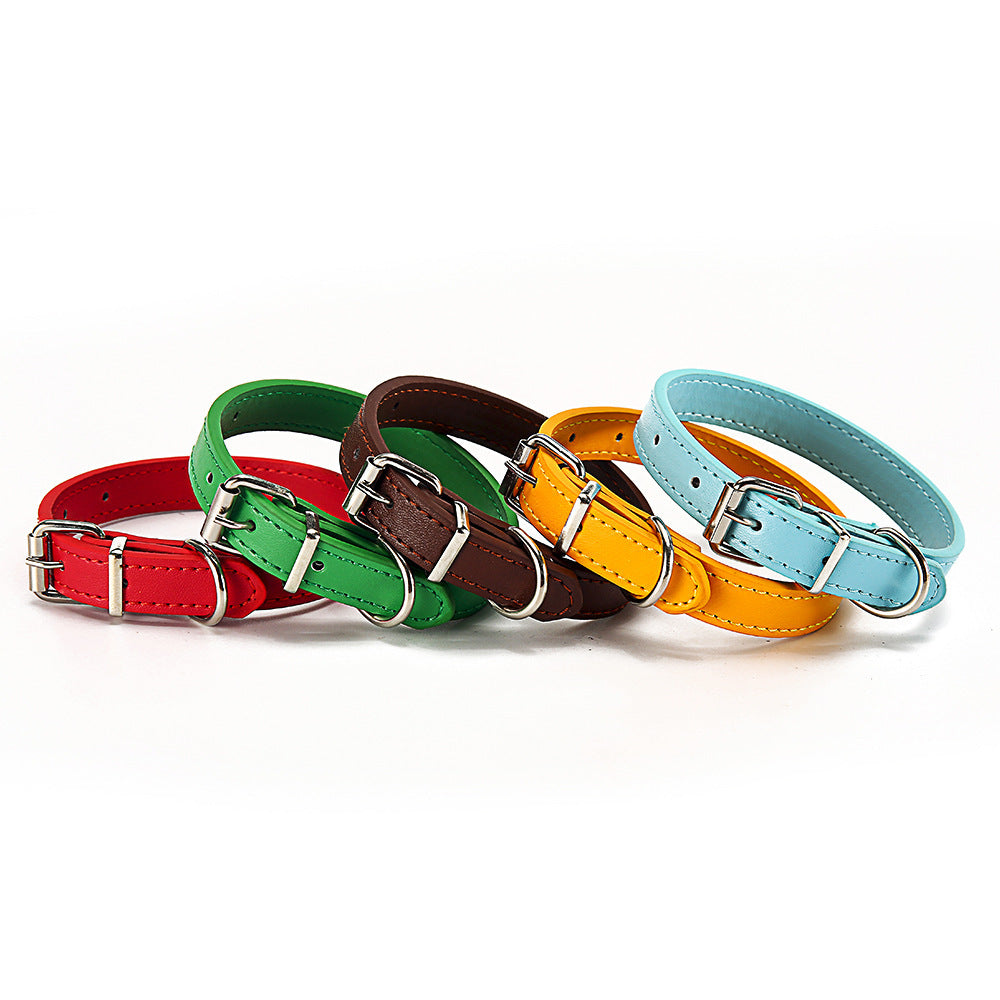 Halsband für Haustiere