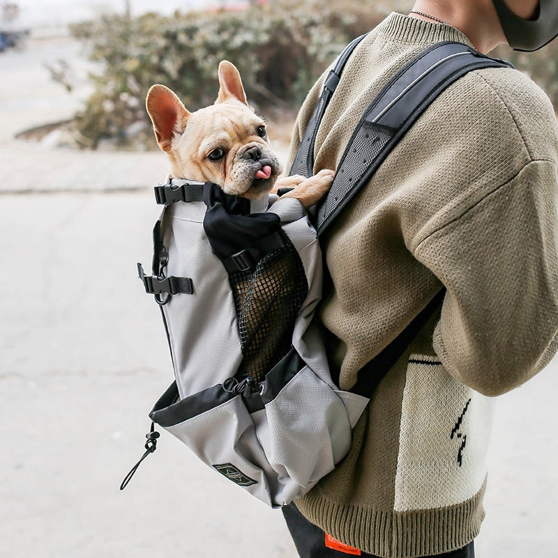 Tragtasche für Hunde