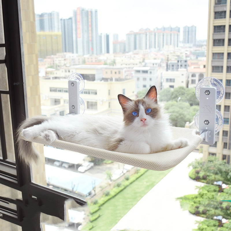 Katze Saugnapf Fenster Glas Hängematte