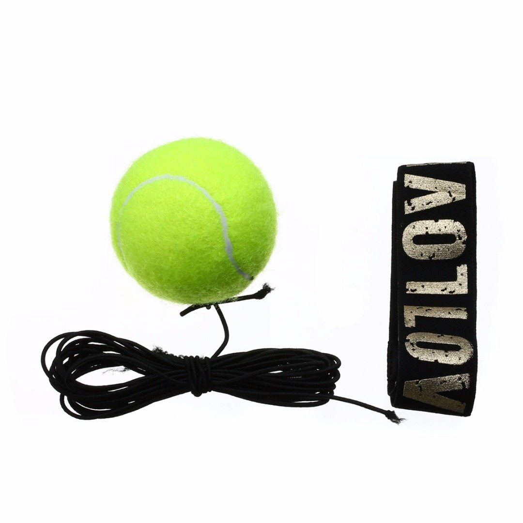 Reflex Ball für Boxer