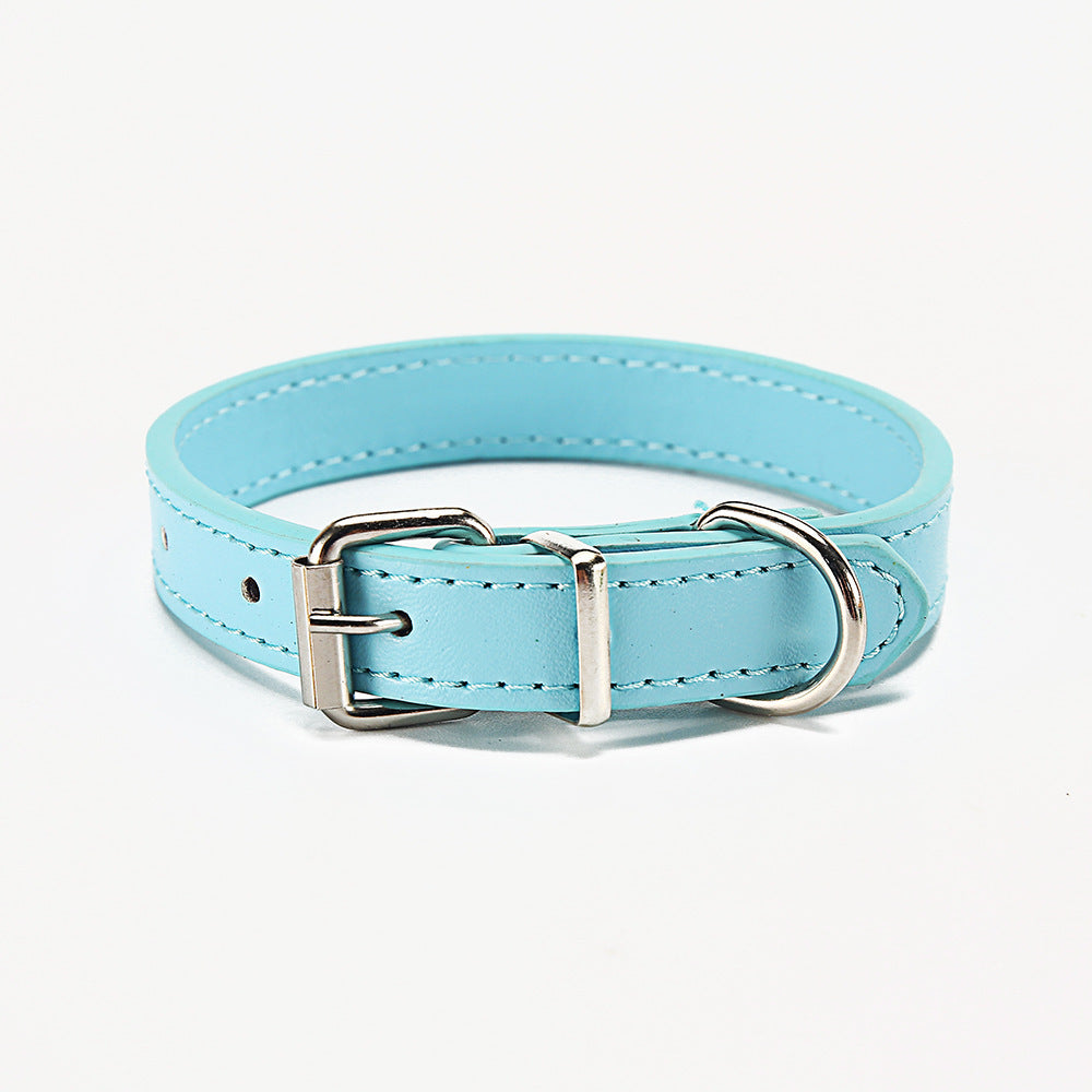 Halsband für Haustiere