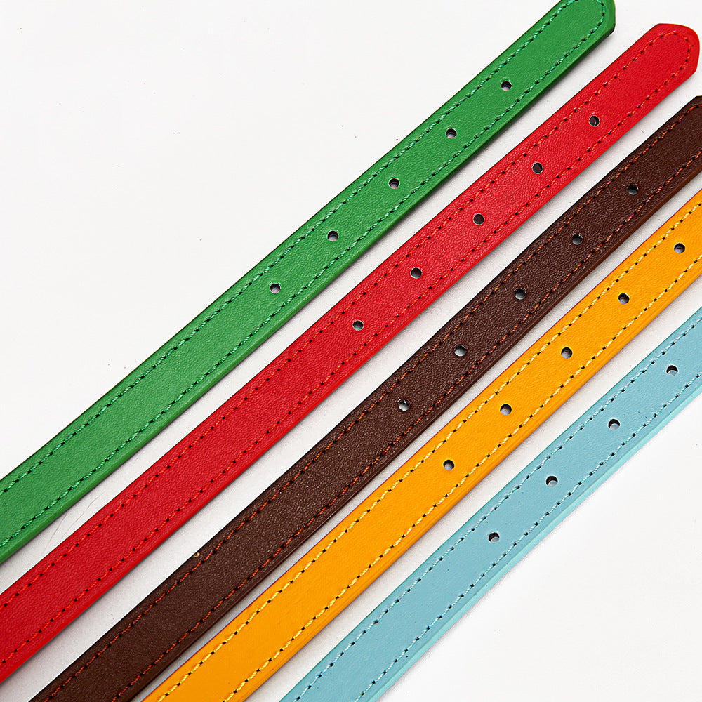 Halsband für Haustiere