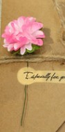 Kreative Grusskarte aus getrockneten Kraftblumen