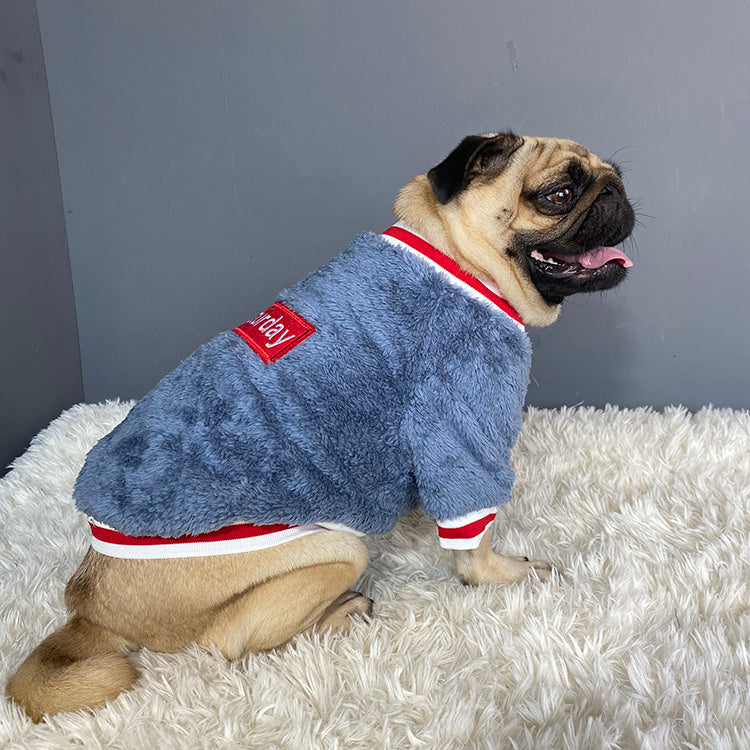 Hunde Pullover
