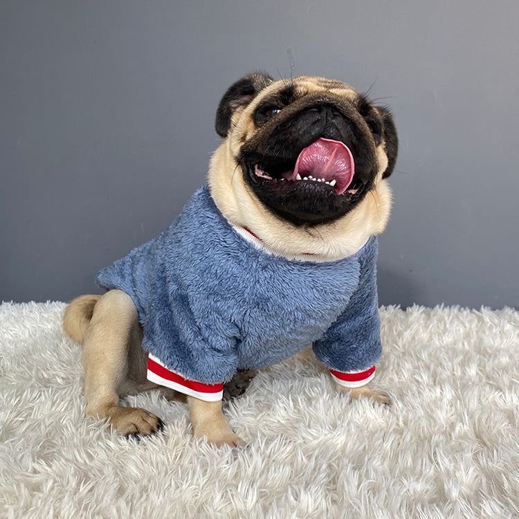 Hunde Pullover