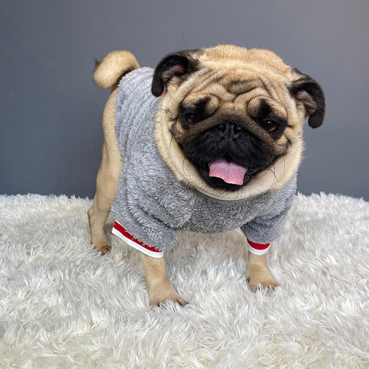 Hunde Pullover