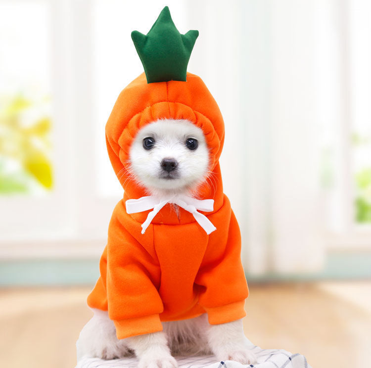 Niedliche Hundekleidung