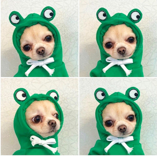 Niedliche Hundekleidung
