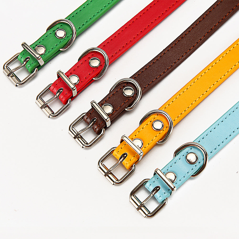 Halsband für Haustiere