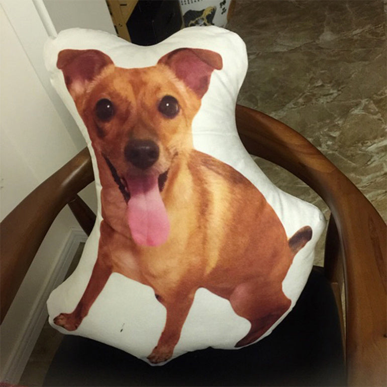 Pet Kissen