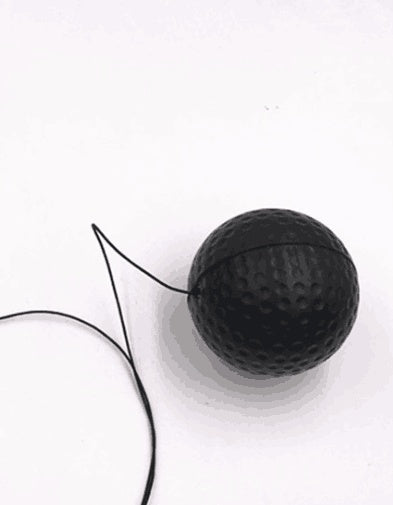 Reflex Ball für Boxer