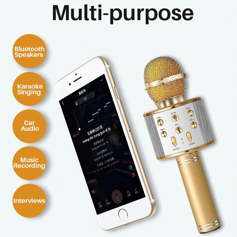 Wireless Mikrofon für Zuhause