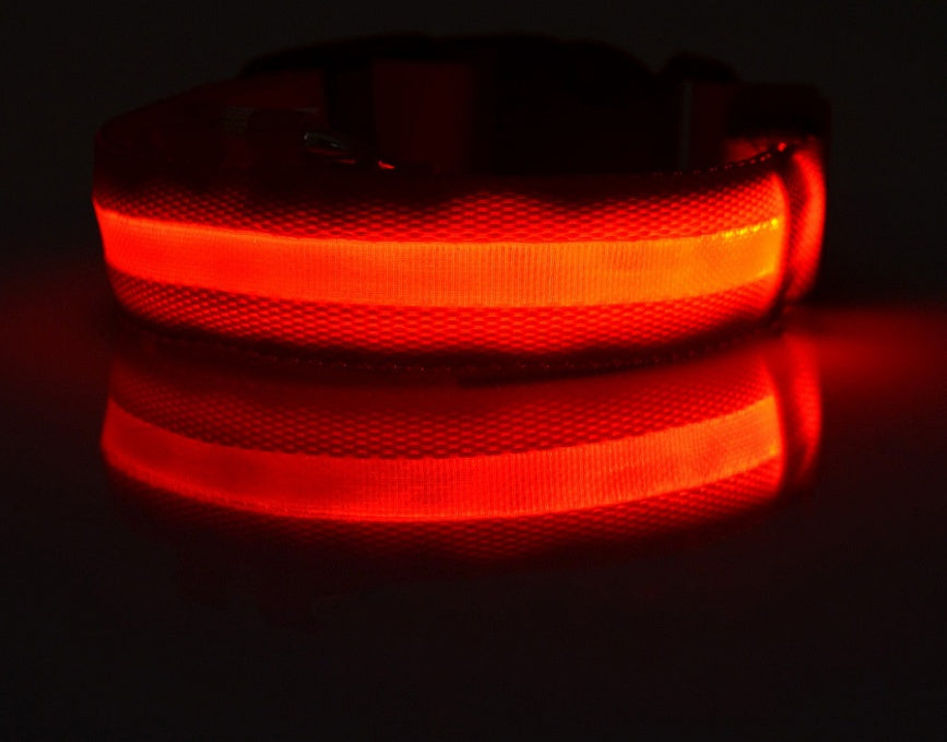 Nylon LED Leuchthalsband für Hunde und Katzen