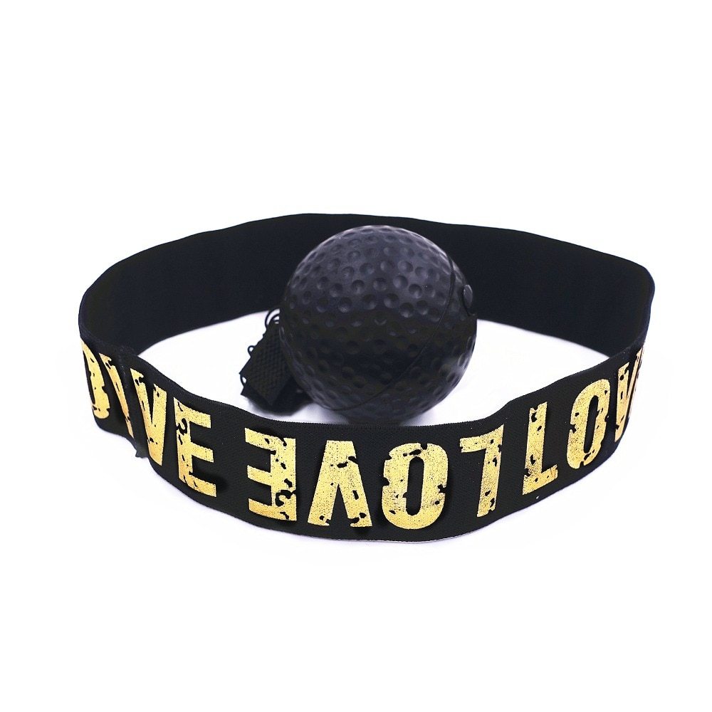 Reflex Ball für Boxer