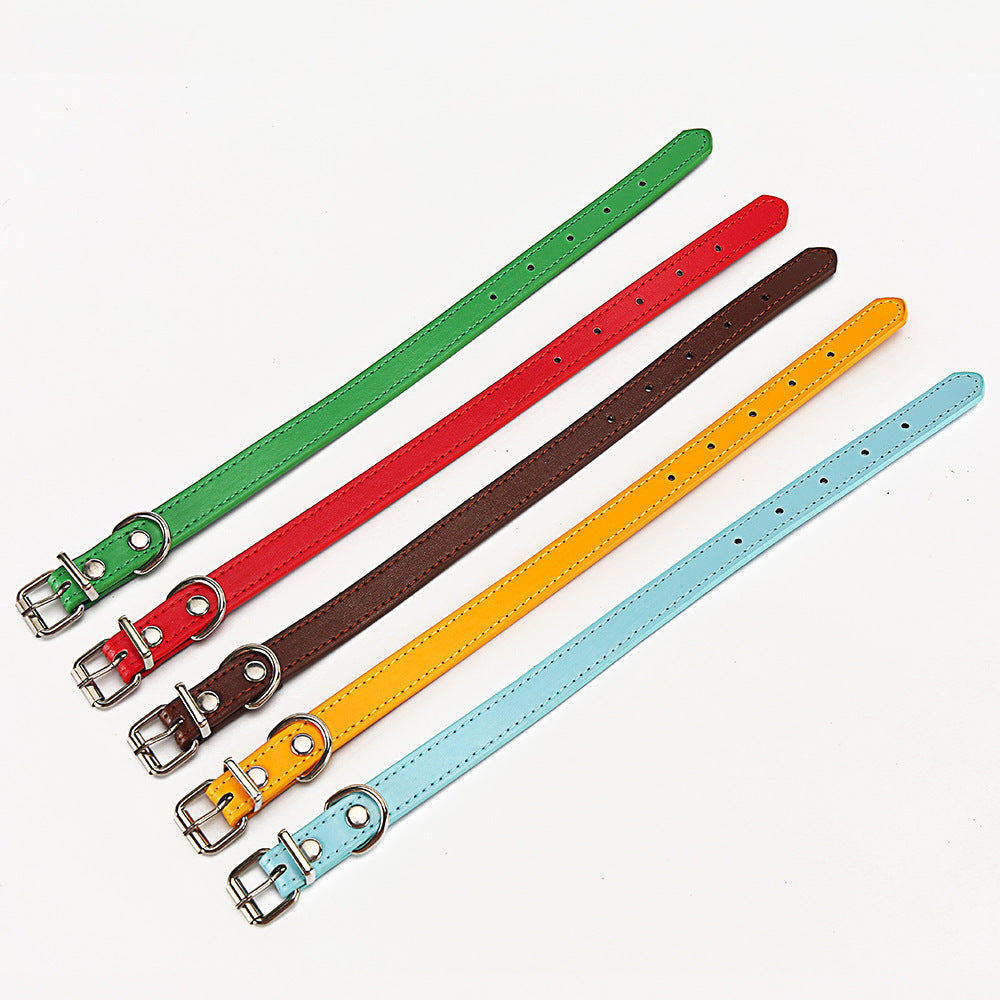 Halsband für Haustiere