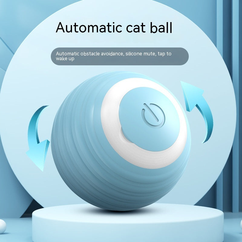 Ball Spielzeug für Katzen