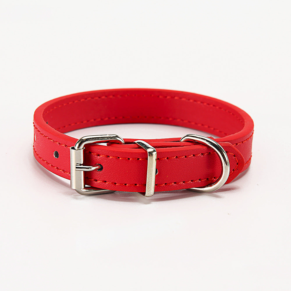 Halsband für Haustiere