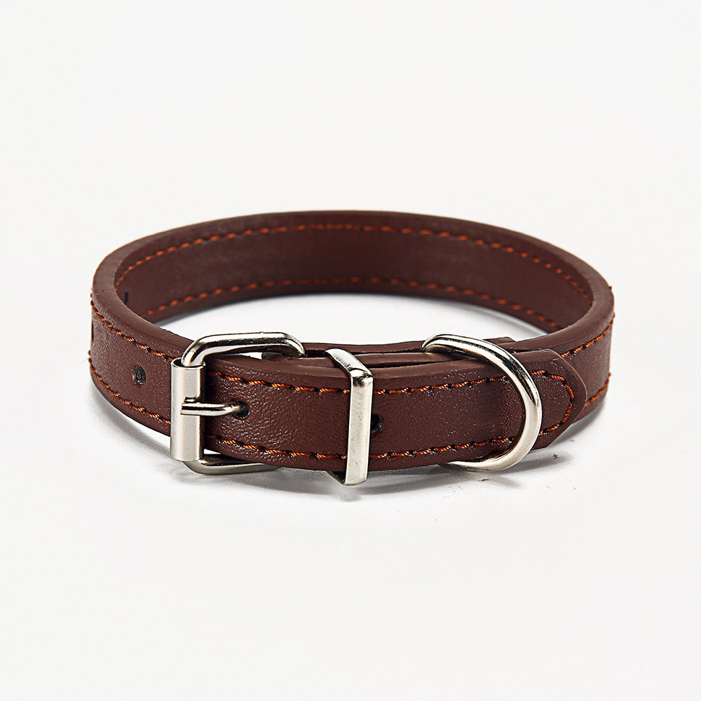 Halsband für Haustiere