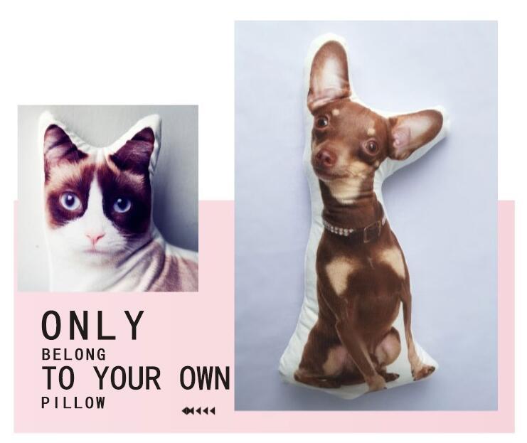 Pet Kissen