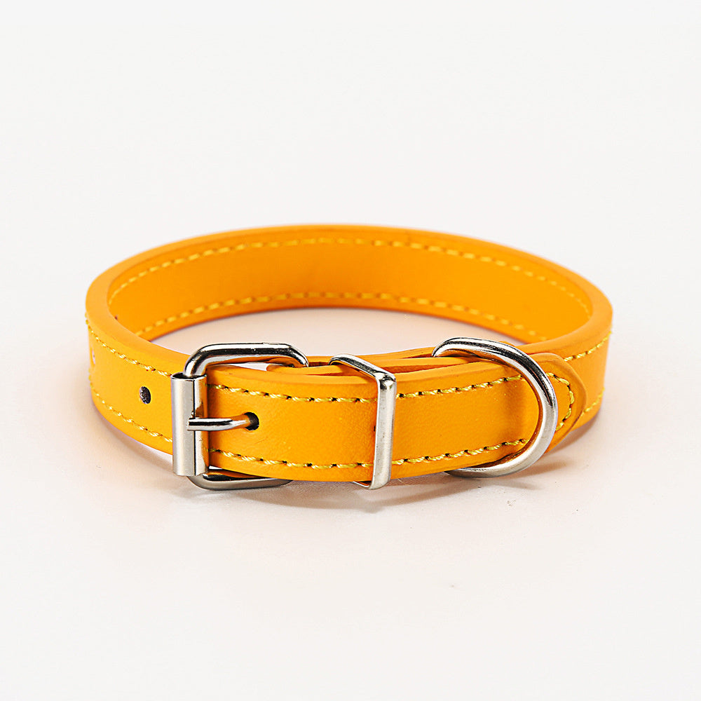 Halsband für Haustiere