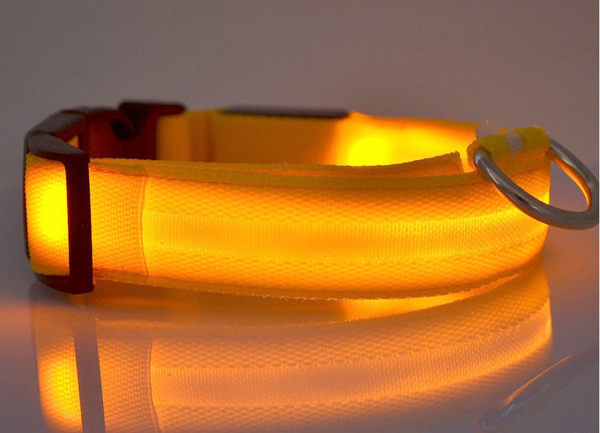 Nylon LED Leuchthalsband für Hunde und Katzen