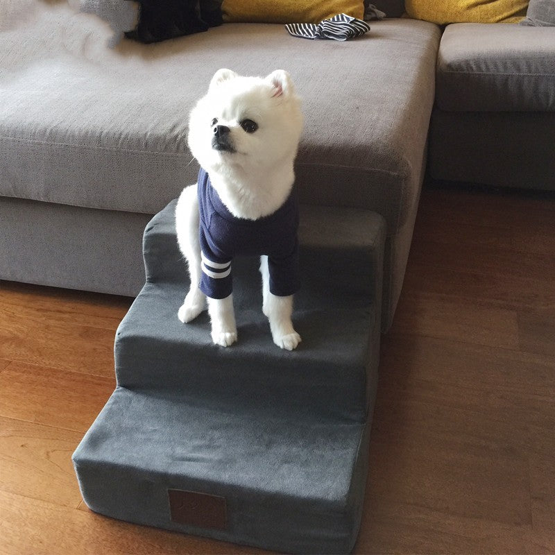 Hunde Treppe