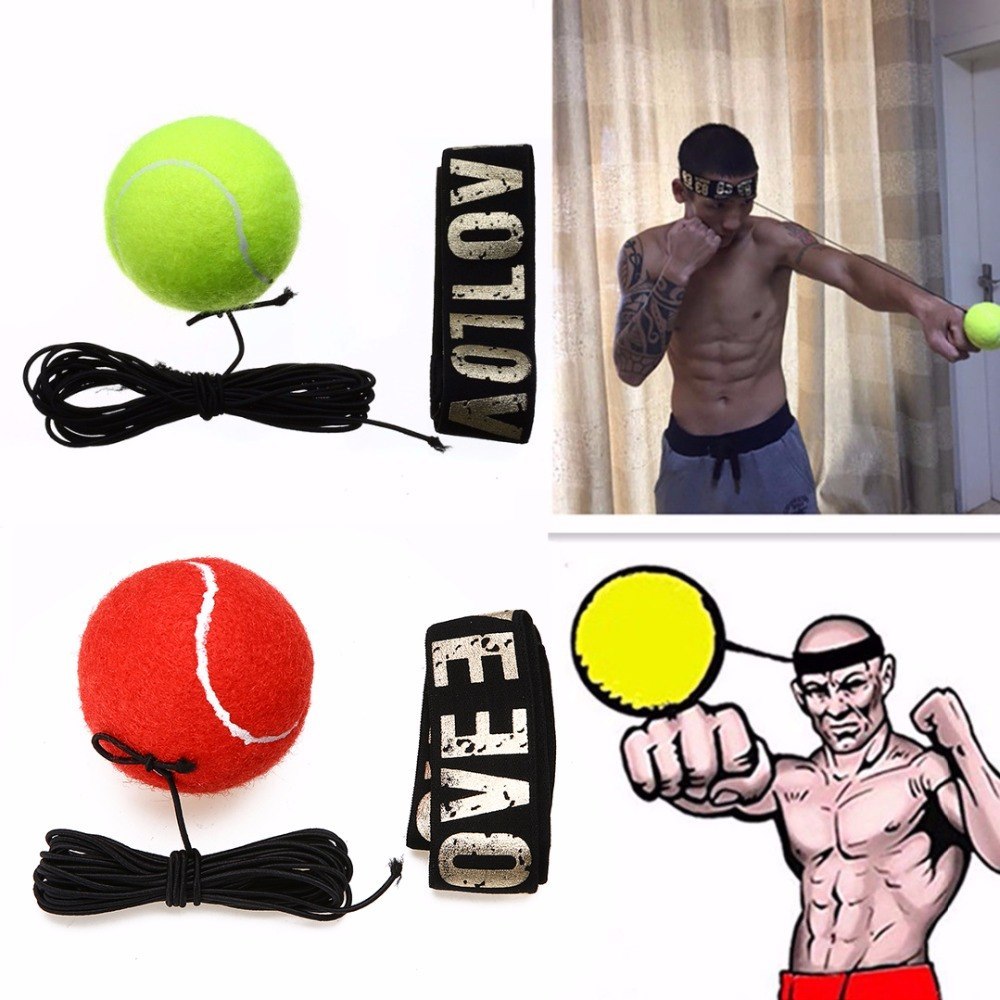 Reflex Ball für Boxer