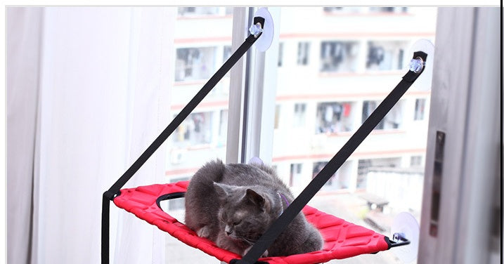 Katze Hängematte mit Saugnapf