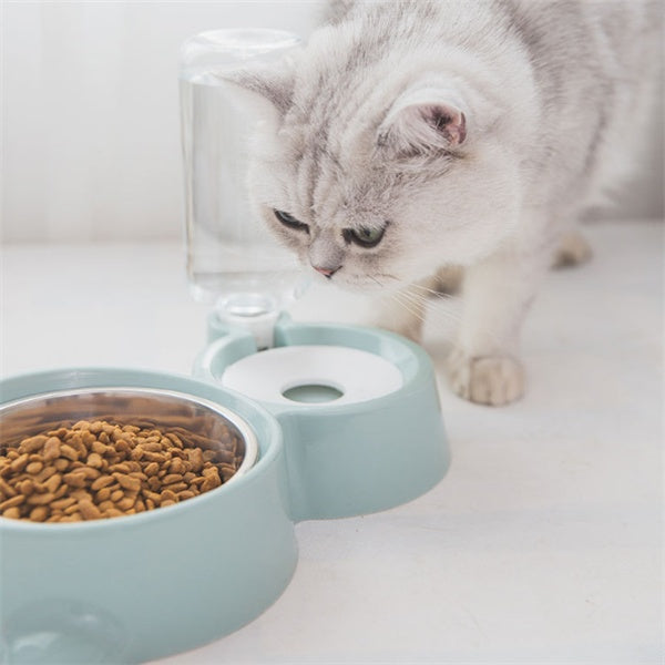 Futter und Wassernapf