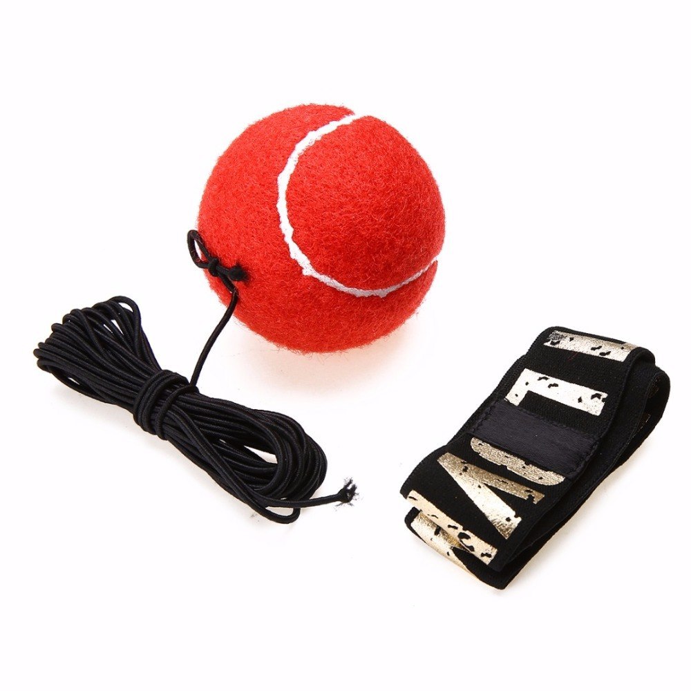 Reflex Ball für Boxer