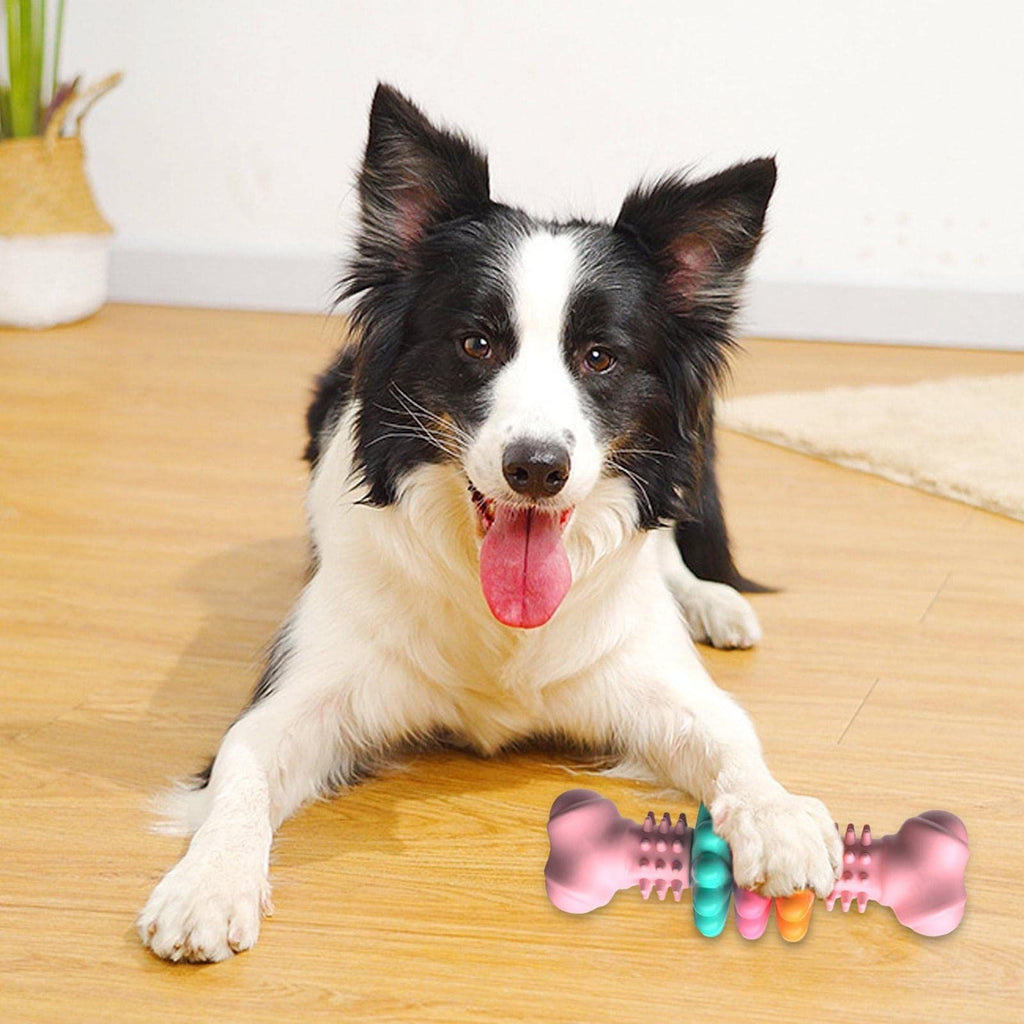 Kauspielzeug für Hunde
