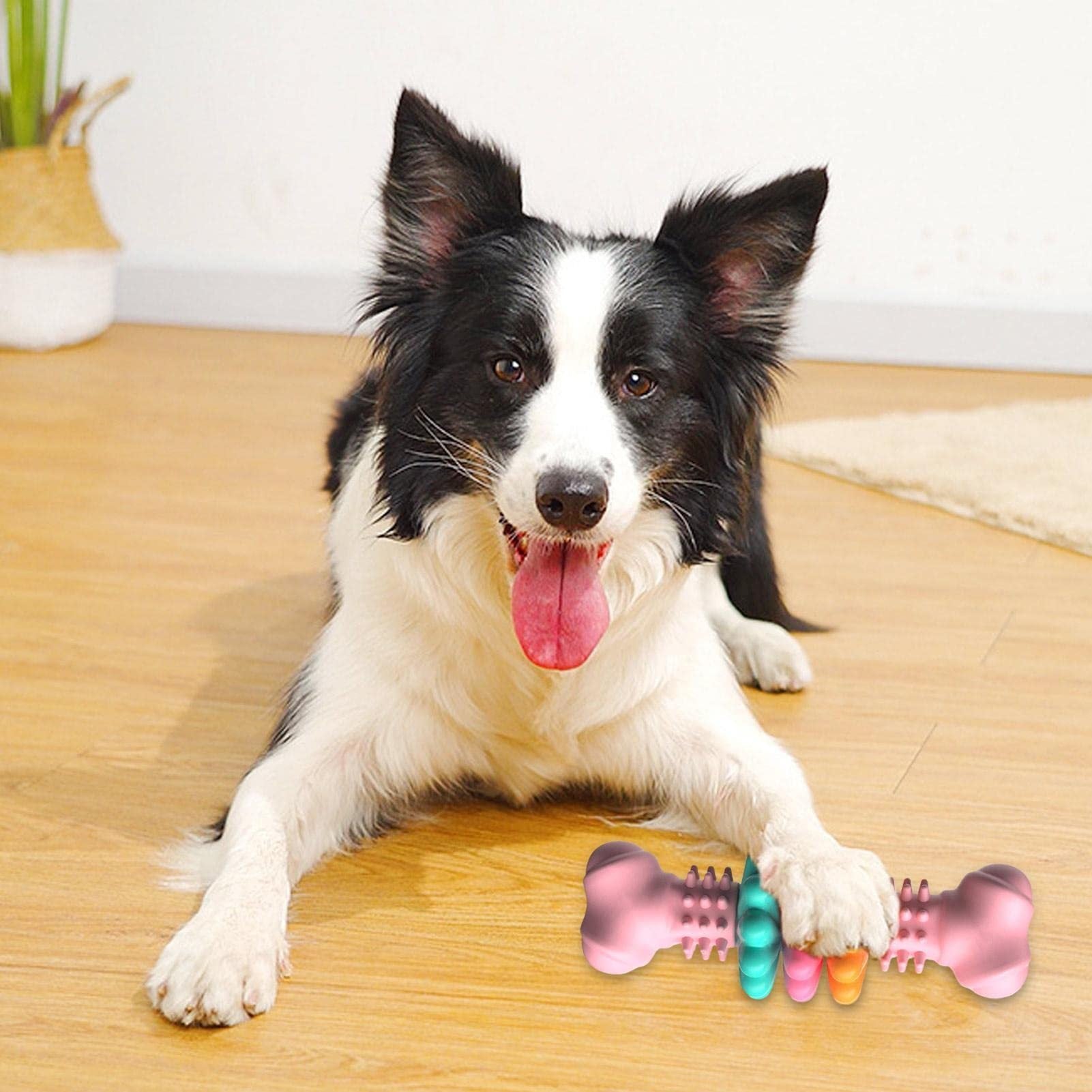 Kauspielzeug für Hunde
