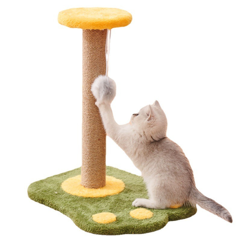 Katzen Spielzeug