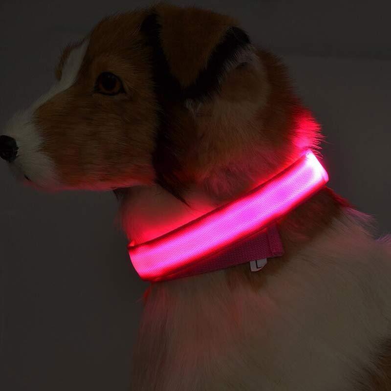 Nylon LED Leuchthalsband für Hunde und Katzen