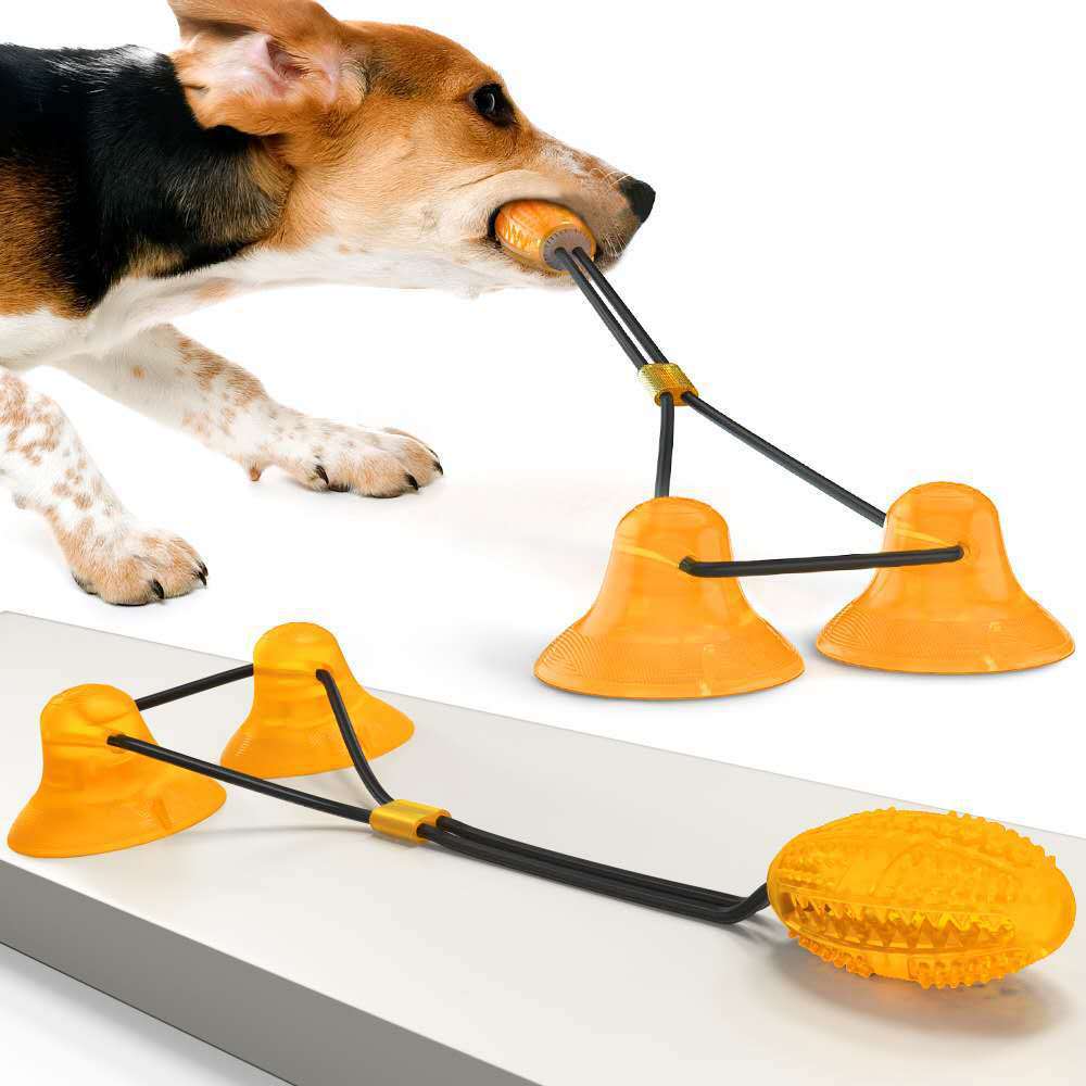 Spielzeug für Hunde mit Saugnapf