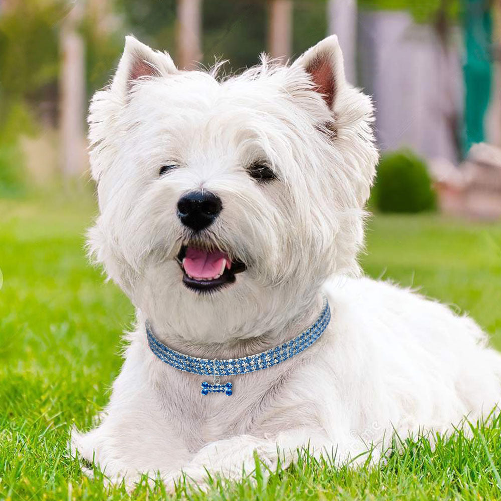 Bling Strass Hundehalsband