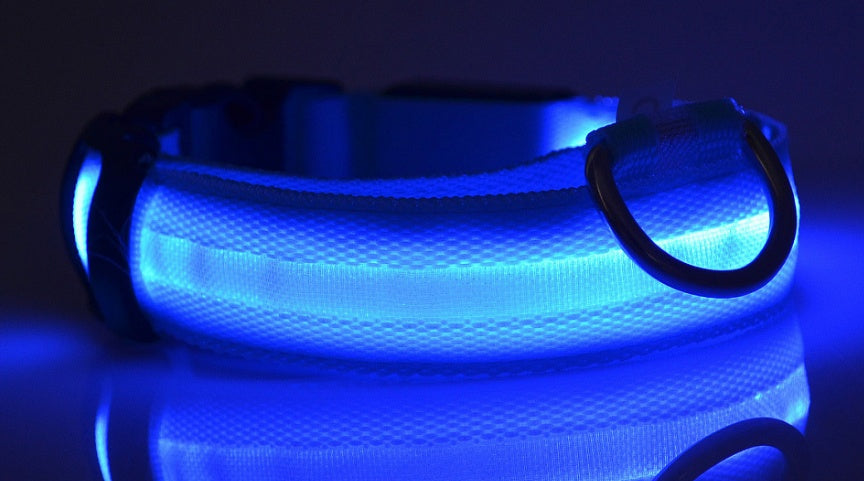 Nylon LED Leuchthalsband für Hunde und Katzen