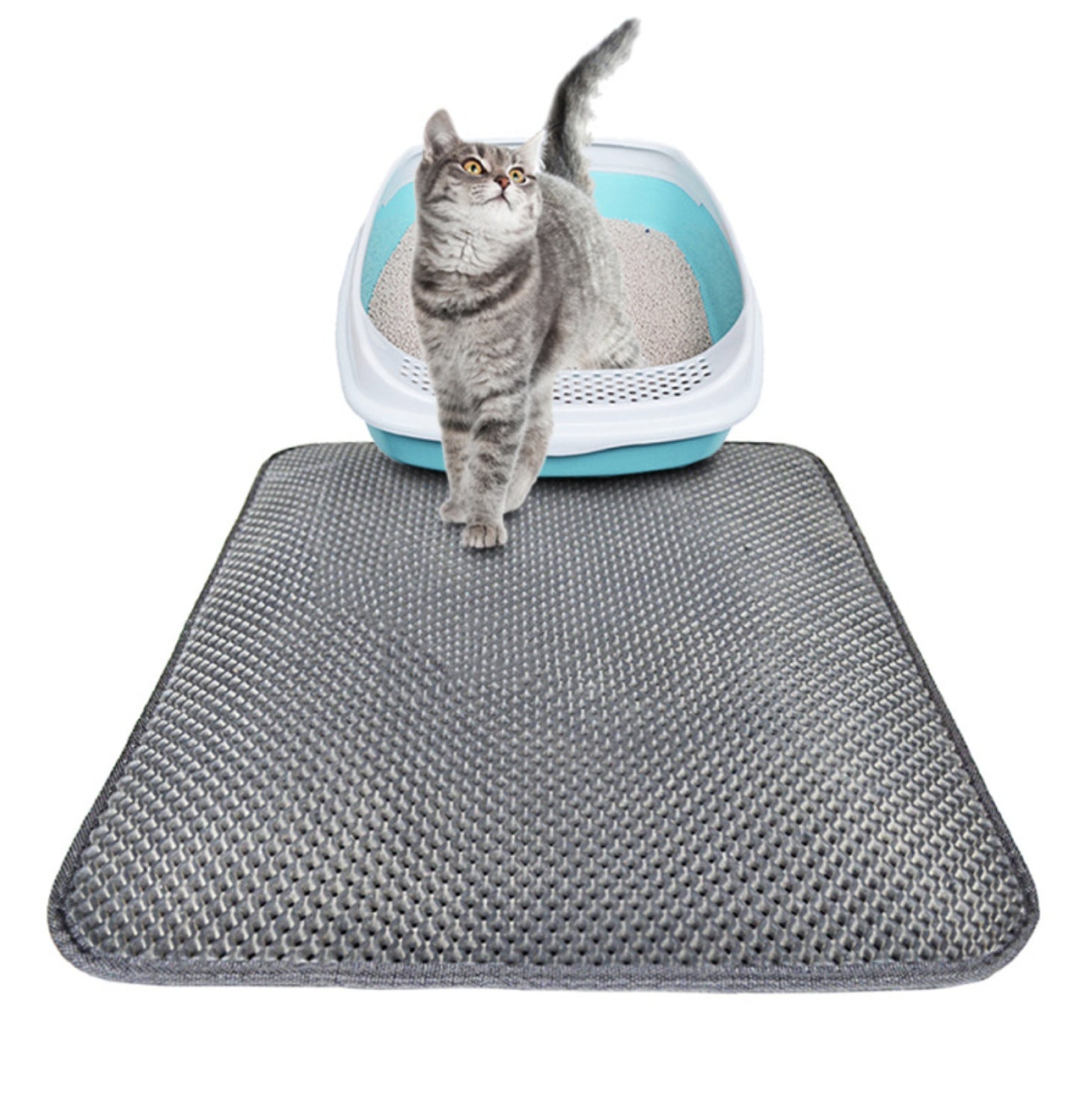 Katzenstreumatte