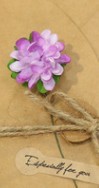 Kreative Grusskarte aus getrockneten Kraftblumen
