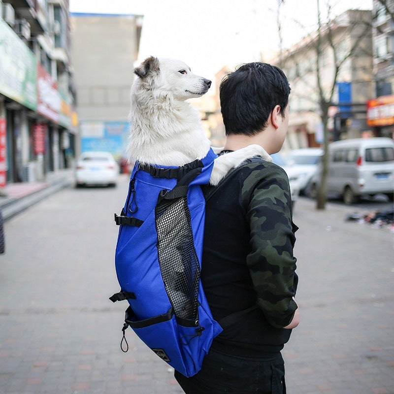 Tragtasche für Hunde