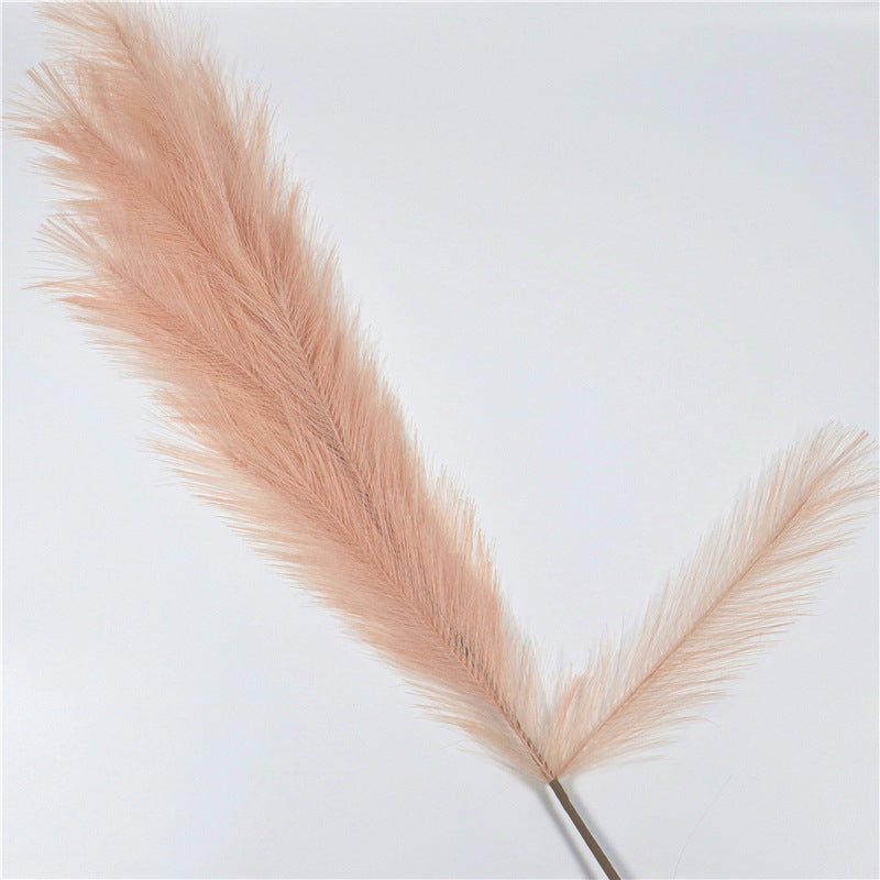 Gras Pampas Dekoration für Zuhause
