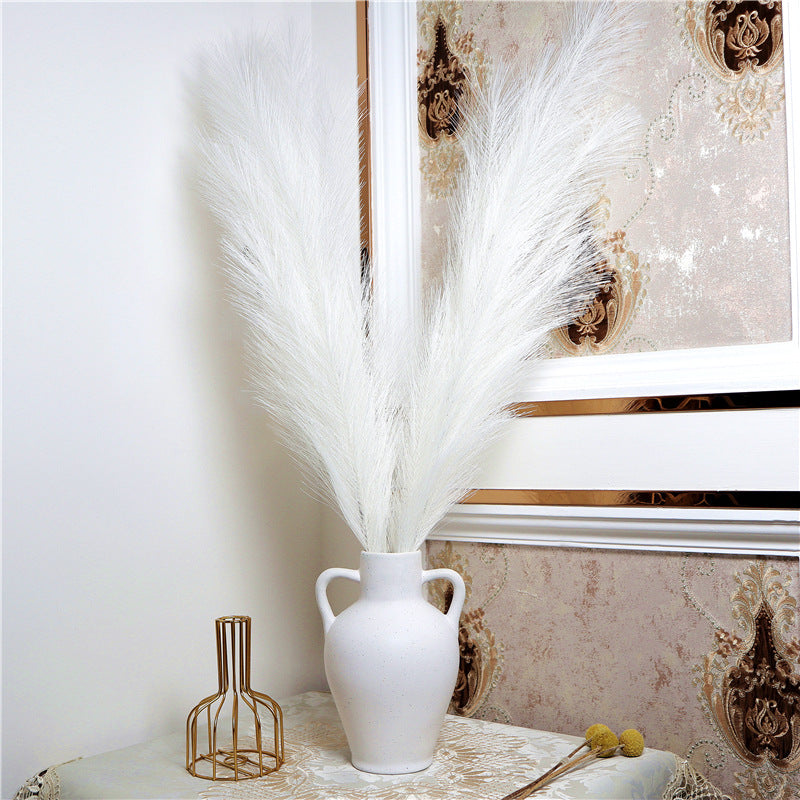 Gras Pampas Dekoration für Zuhause