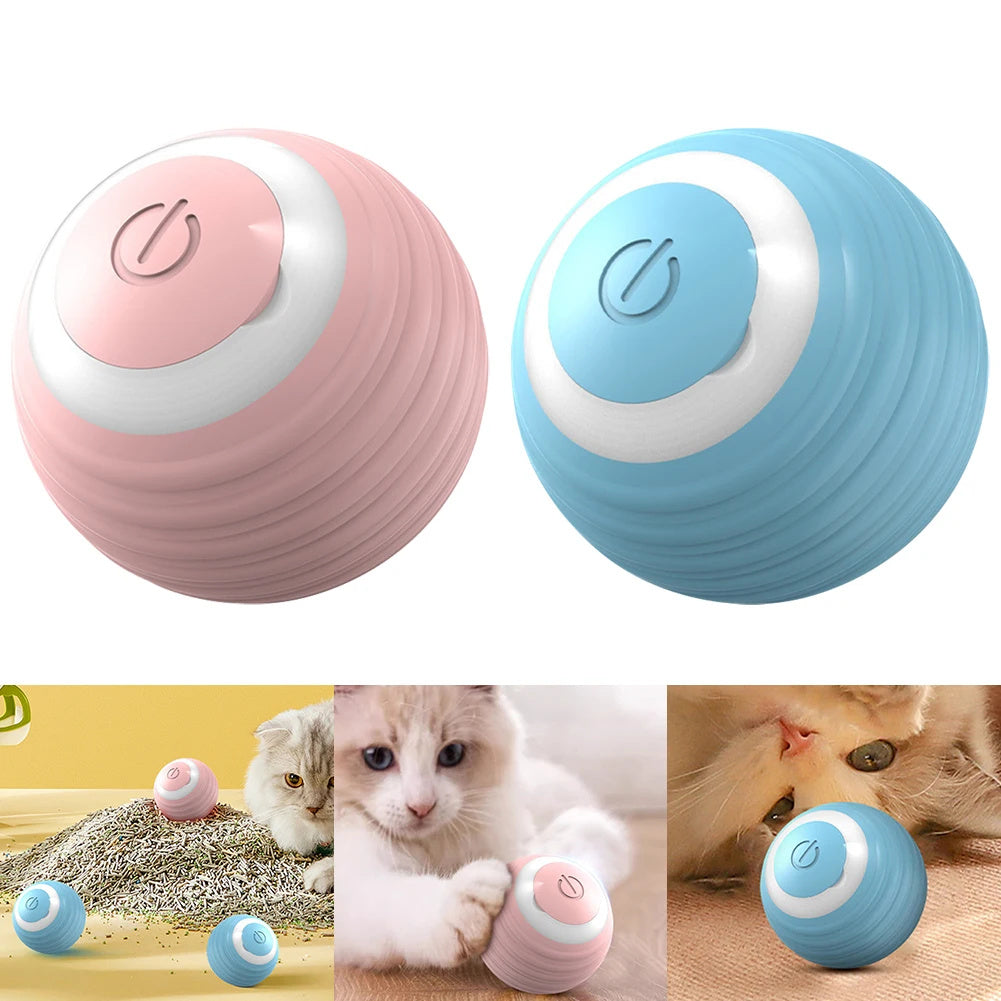Ball Spielzeug für Katzen
