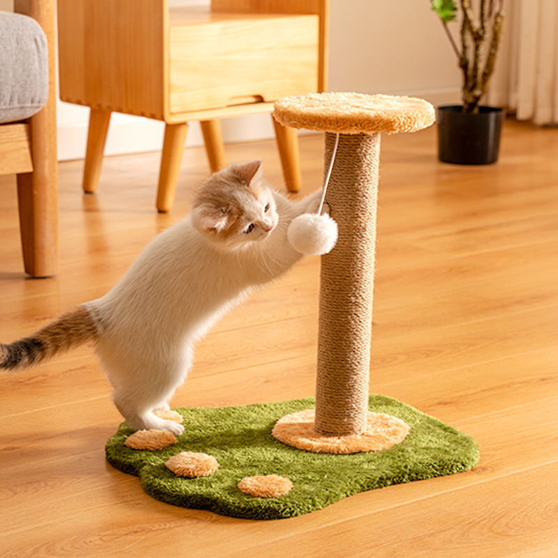 Katzen Spielzeug